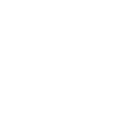 Website Security Management